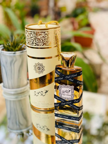 لطافه عود